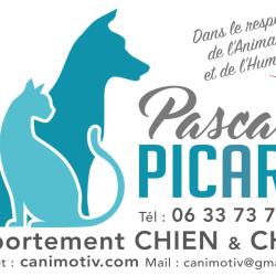 Pascale Picard Comportement Chat Chien