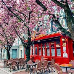 Pascaline Restaurant