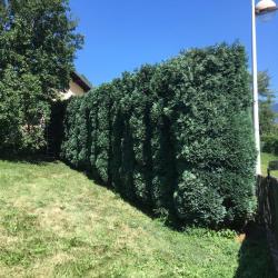Pasquier Espaces Verts