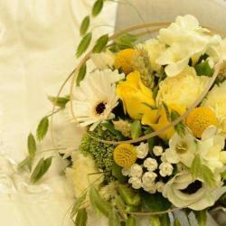 Passiflore