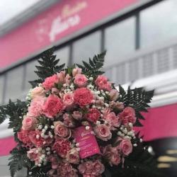 Passion Fleurs