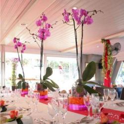 Passion Florale