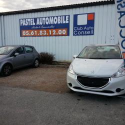 Pastel Automobile