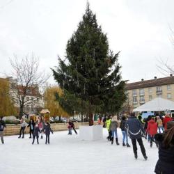Patinoire De Noël