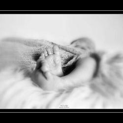 Patricia Coton Photographe & Co