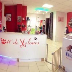 Patt'de Velours