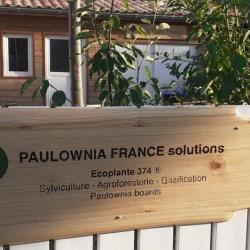 Paulownia France
