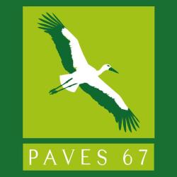 Paves 67