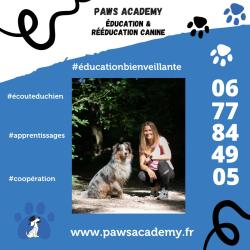 Paws Academy