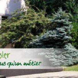 Paysage Gaessler