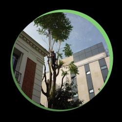 Paysage Service 93