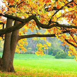 Paysages Litterst Suivi Du Jardin