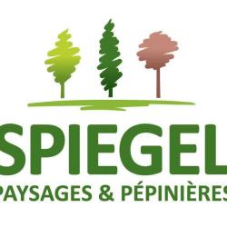 Paysages Spiegel Jean Luc