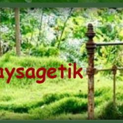 Paysagetik