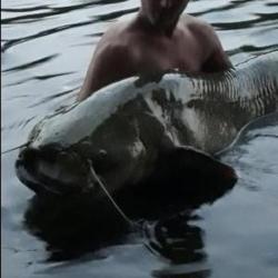Peche Jardin Chasse