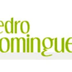 Pedro Domingues