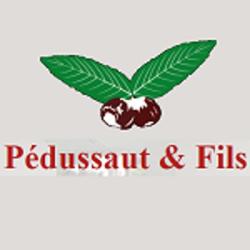 Pedussaut Et Fils
