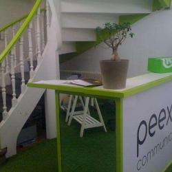 Peexeo