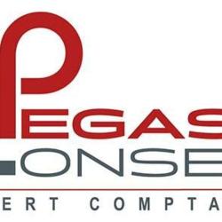Pegase Conseil