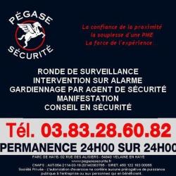 Pégase Sécurité