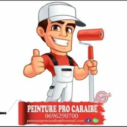 Peinture Pro Caraibe