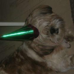 Peluche