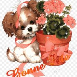 Peluche