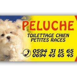 Peluche Centre Canin