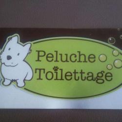 Peluche Toilettage