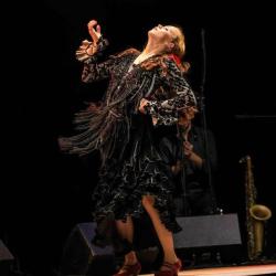Peña Estrella Flamenco
