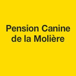 Pension Canine De La Molière