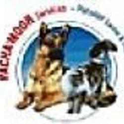 Pension Canine Du Pacha'moor