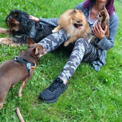 Pension Familiale Pour Animaux Chiens Chats Oiseaux