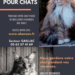 Pension Pour Chats Abacoon