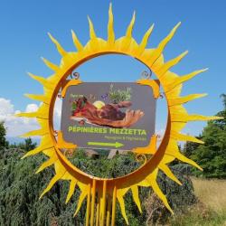 Pépinières Mezzetta
