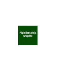 Pepinieres De La Chapelle