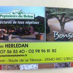 Pépinières Du Belon