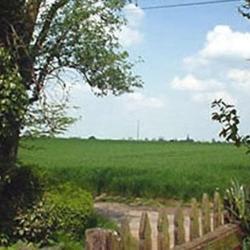 Pépinières Et Paysages Brotonne