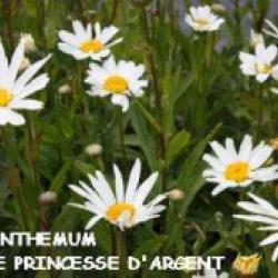 Pepinieres Allavoine