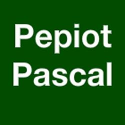 Tp Pepiot Pascal