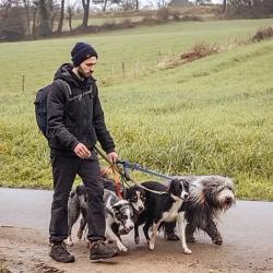 Peps Dogs Paradise