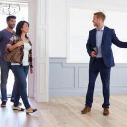 Perdrix Immobilier
