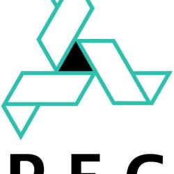 Pereira Electricite Generale (p.e.g)