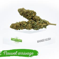 Perfect Time Cbd Premium Nation