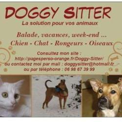 Doggysitter
