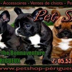Pet Shop