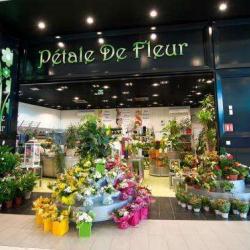 Pétale De Fleurs
