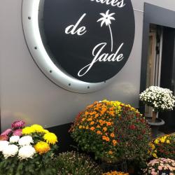 Pétales De Jade