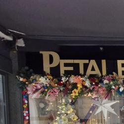 Petales Et Couleurs