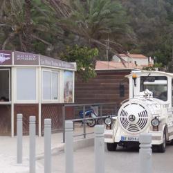 Petit - Train Sarl Ttb